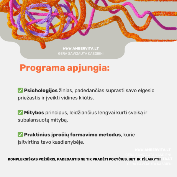 Sveikų įpročių programa